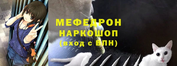 тгк Ельня