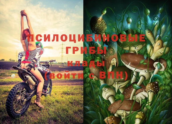 apvp Абинск