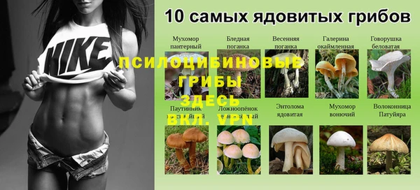кокс Нягань