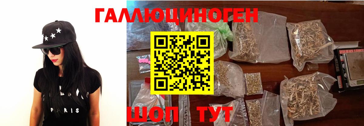 Галлюциногенные грибы Psilocybine cubensis Богородск