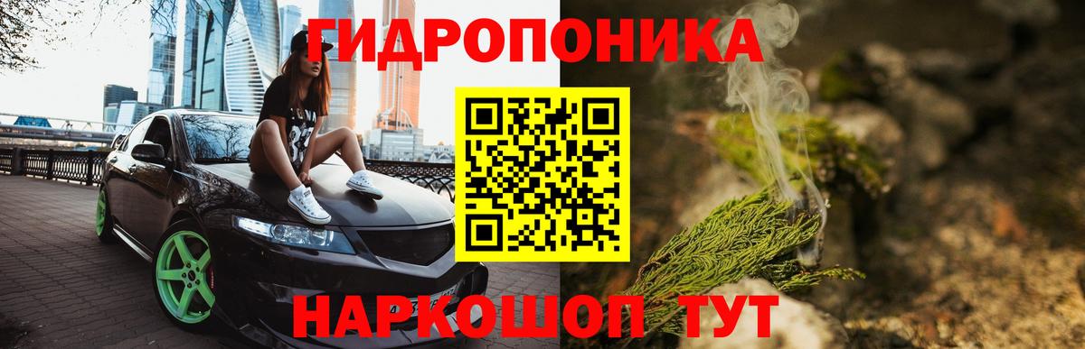 Бошки марихуана сатива  Вход с VPN  Бошки Шишки OG Kush  Богородск 